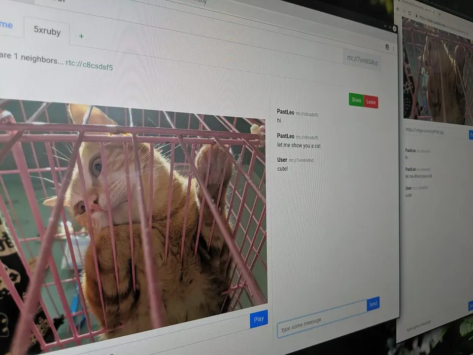 用 WebRTC 半分散網路弄一個聊天室