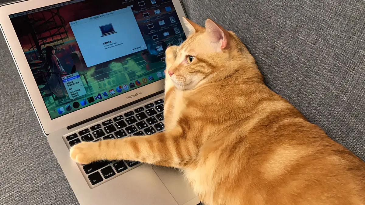 2018 那些年，我在五倍紅寶石實習的日子