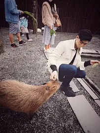 從八大產業副領班到軟體工程師，我選擇用程式開啟另一條路